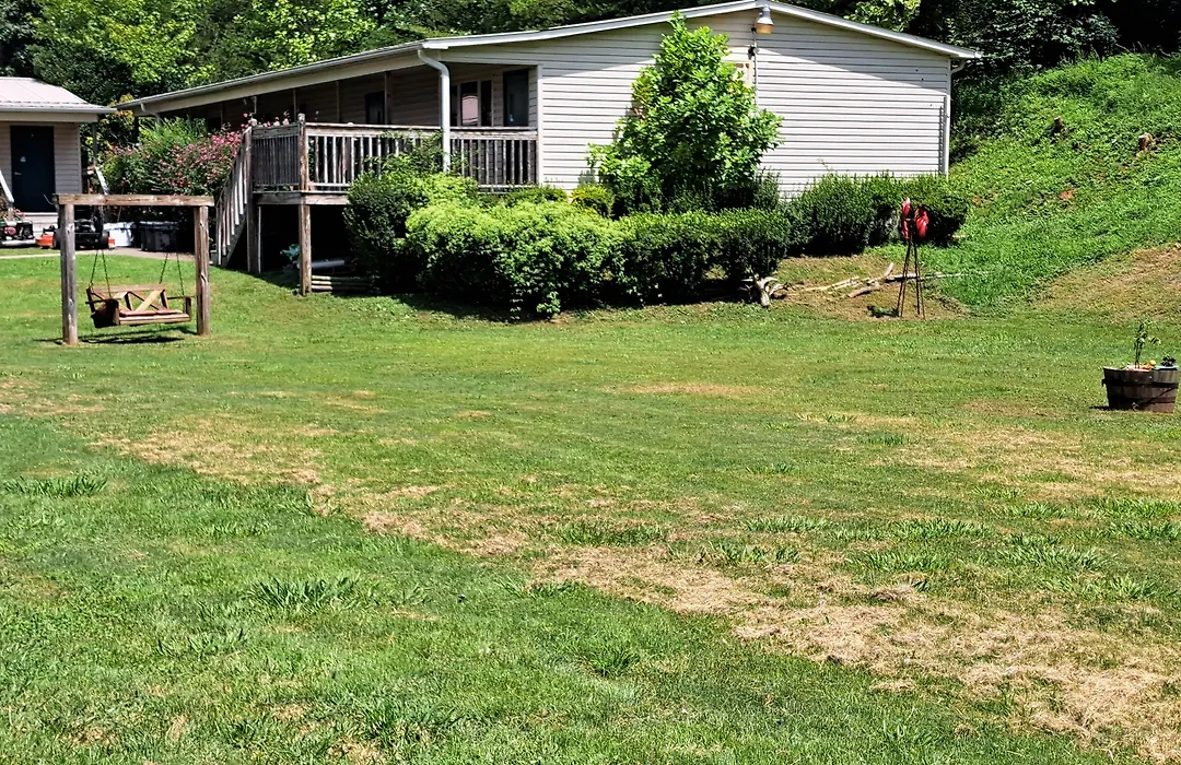 Blue Sky Inn: Pet-Friendly Oasis with Renovated Rooms-1