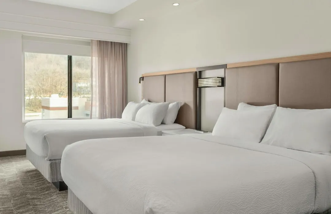 Springhill Suites By Marriott Morgantown-1