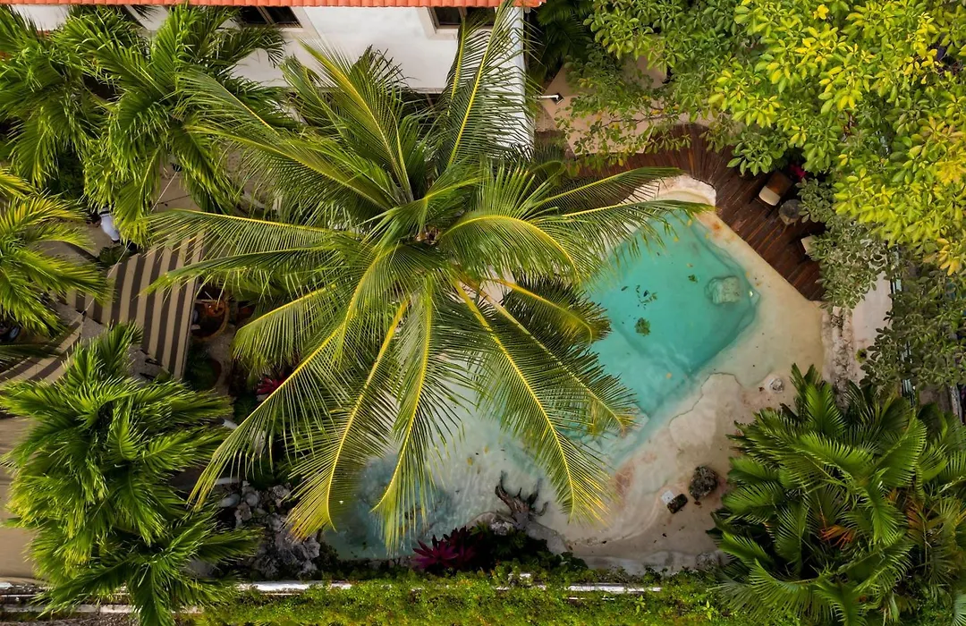 Mezcal Boutique Hotel-1