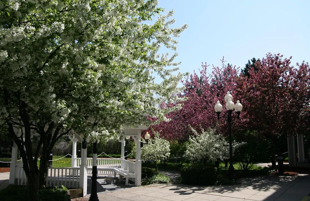 Hampton Inn Burlington - Colchester-1