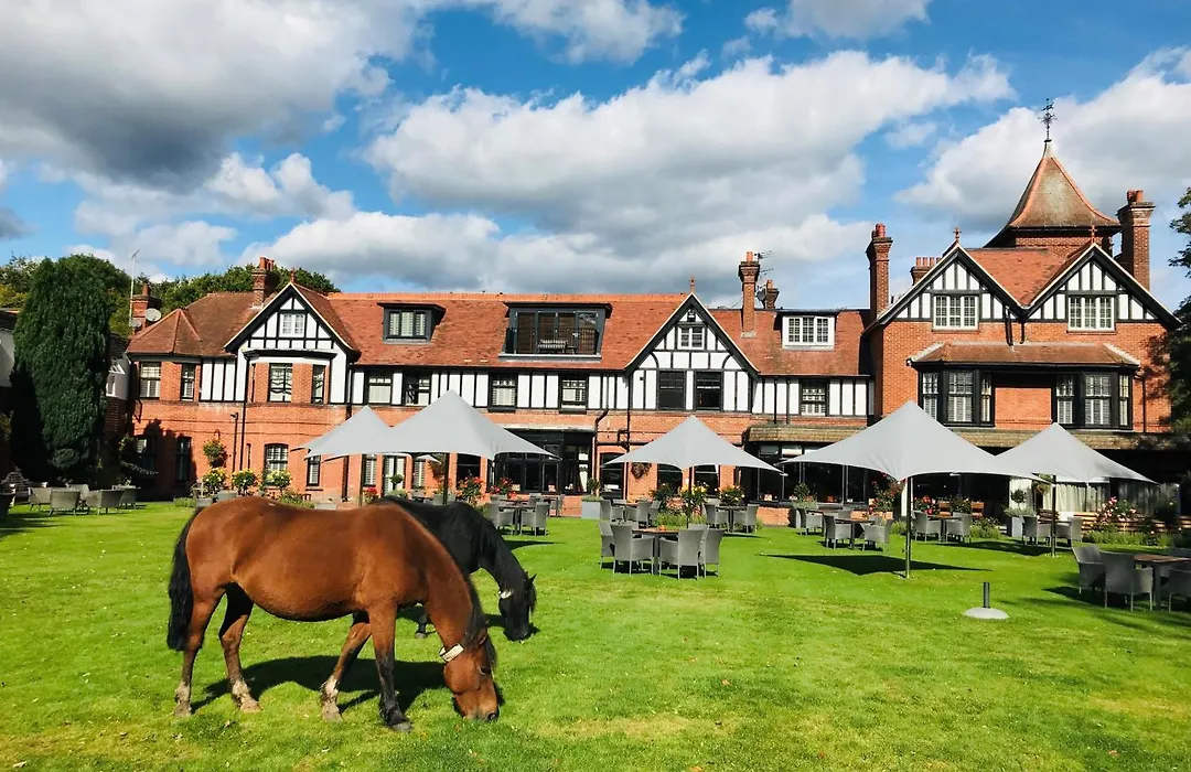 Forest Park Country Hotel & Inn, Brockenhurst, New Forest, Hampshire - The Coaching Inn Group-1