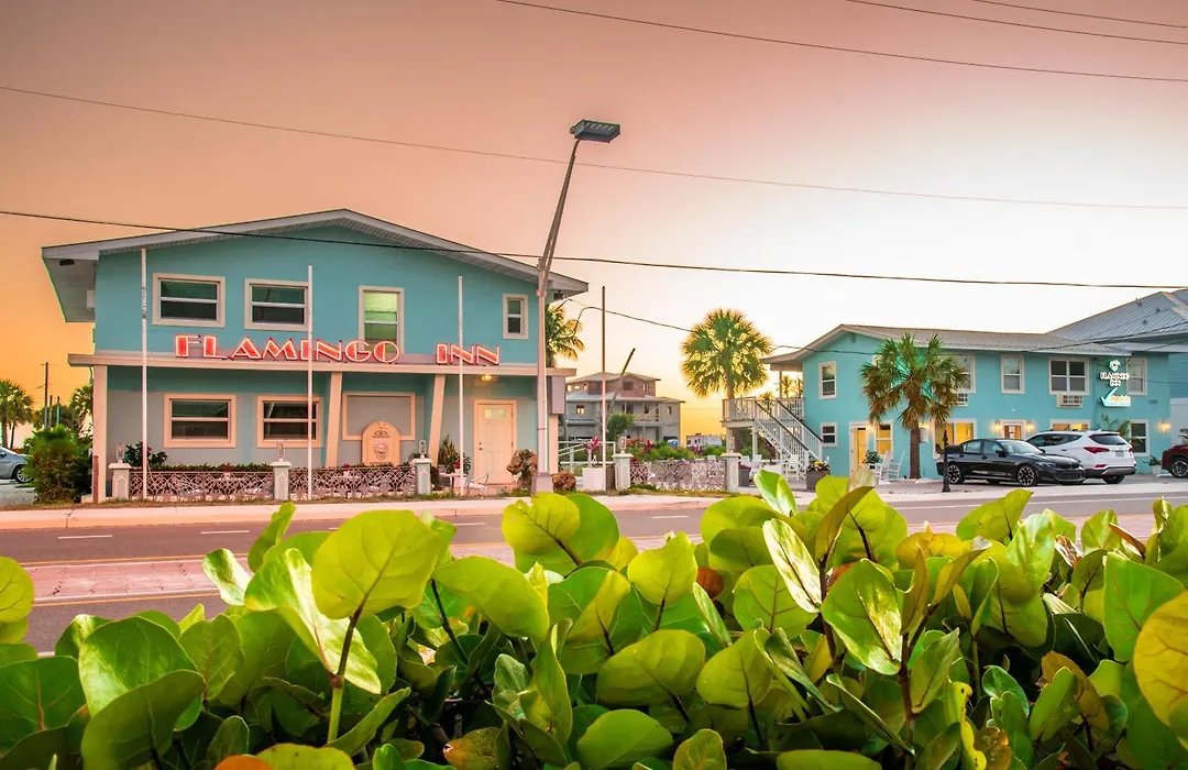 Flamingo Inn-1