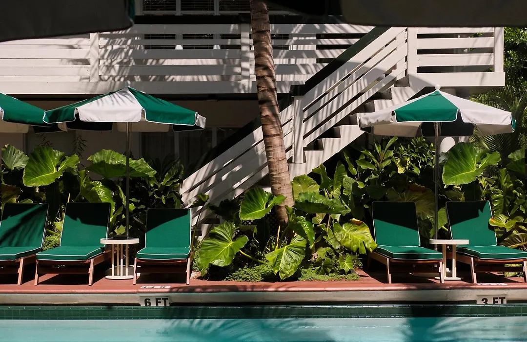Perroquet Hotel-1
