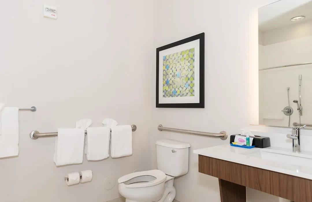 Holiday Inn Express Hotel & Suites Tampa-Usf-Busch Gardens By Ihg-1