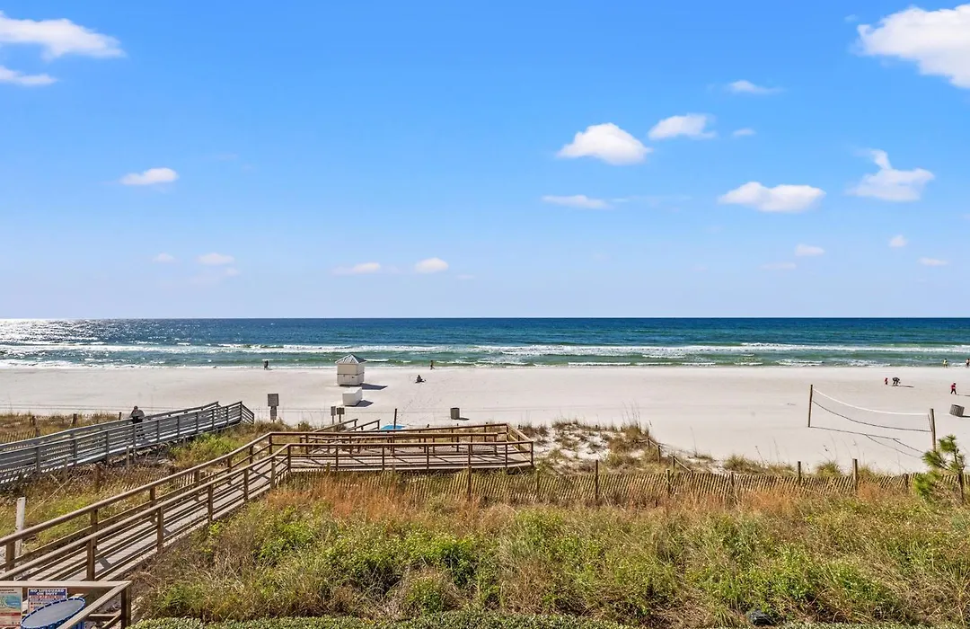 Official Majestic Beach Resort-1