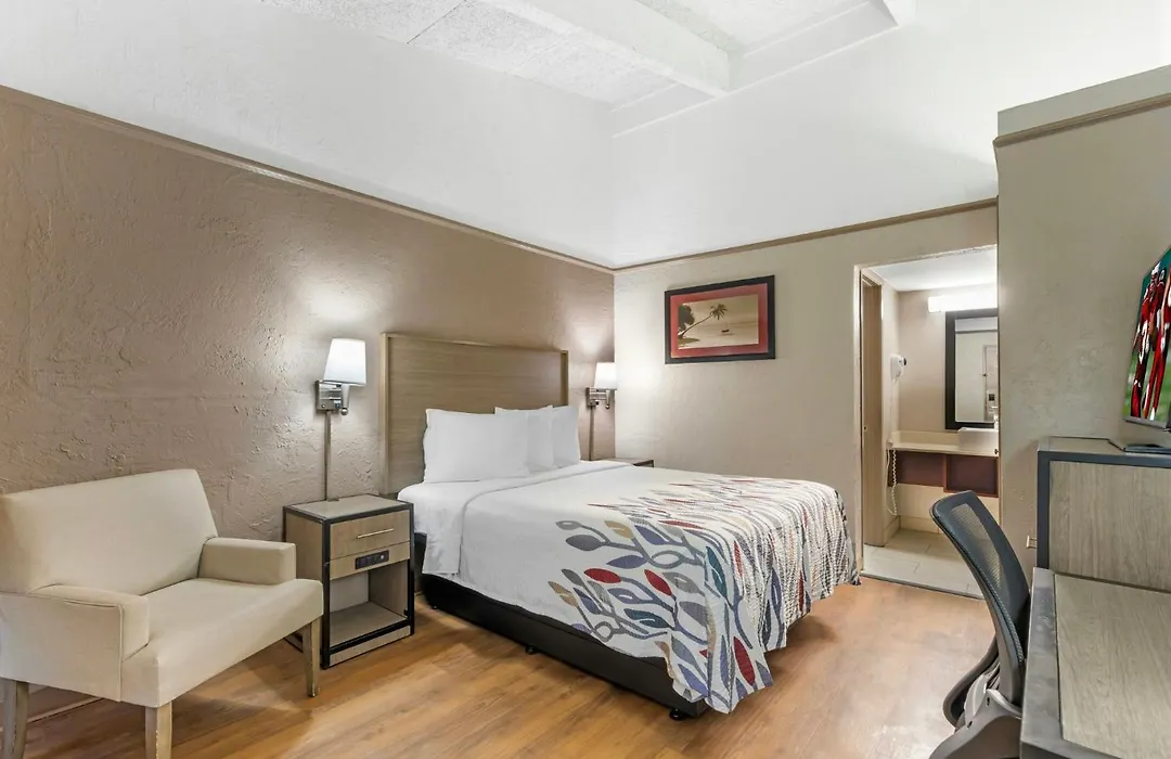 Red Roof Inn Tampa Bay - St. Petersburg-1