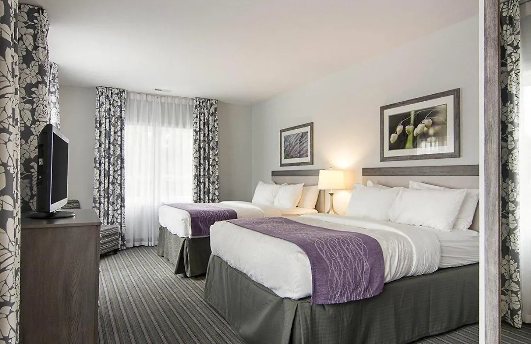 Comfort Inn Williamsburg Gateway-1
