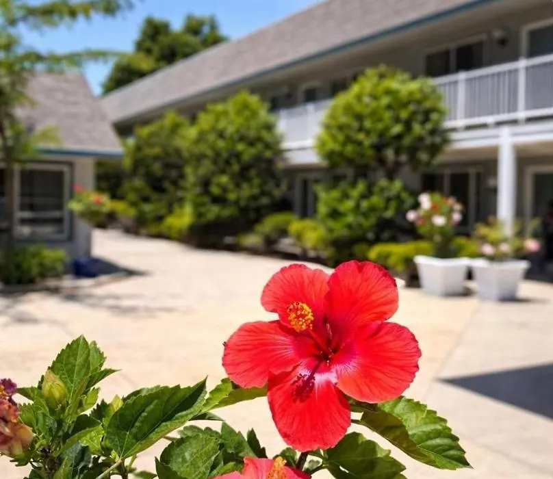 Cape Harbor Motor Inn-1