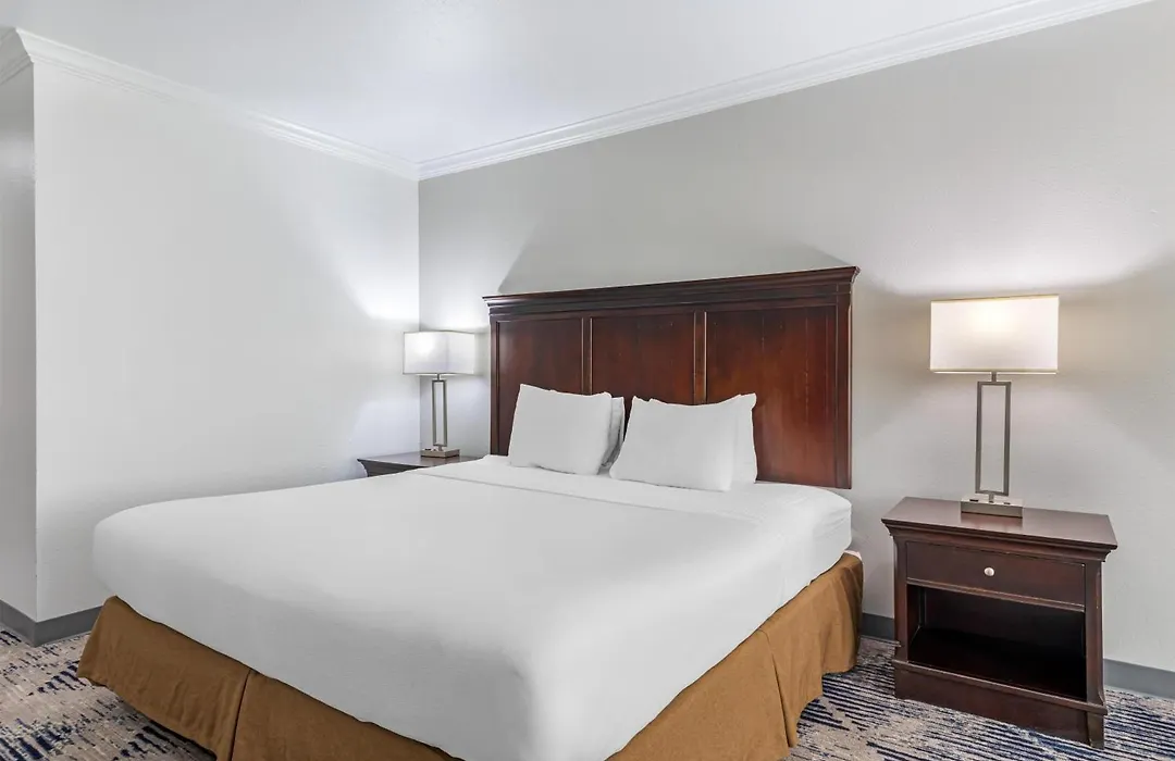 Best Western Plus Southpark Inn & Suites-1