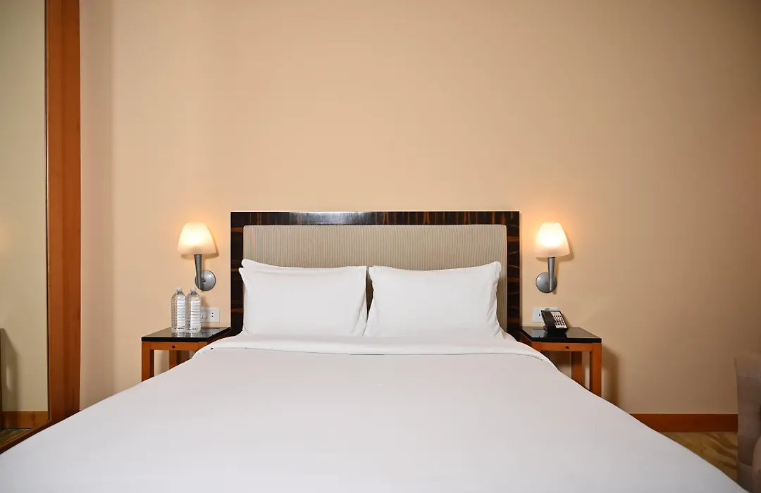 The Grand New Delhi-1