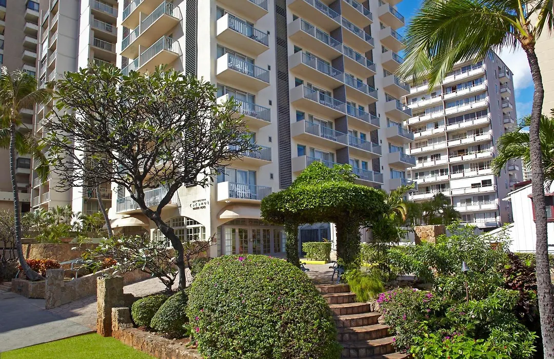 Coconut Waikiki Hotel-1