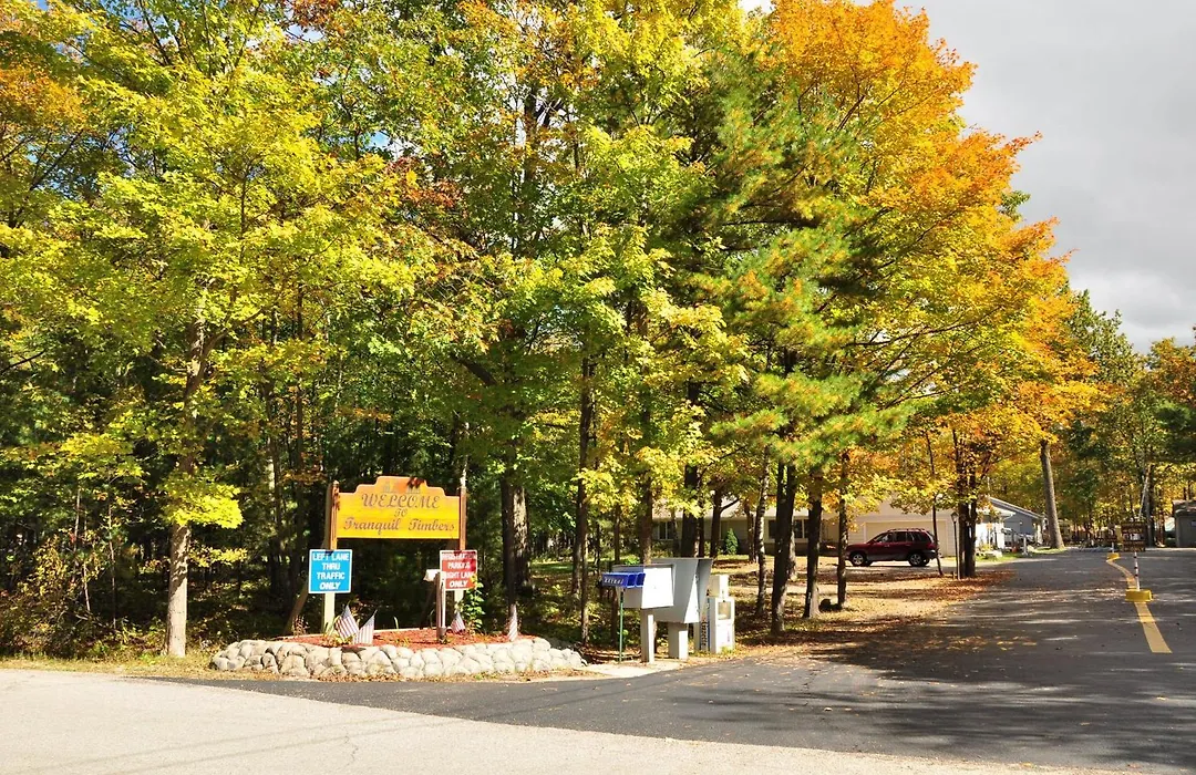 Tranquil Timbers Cabin 11-1