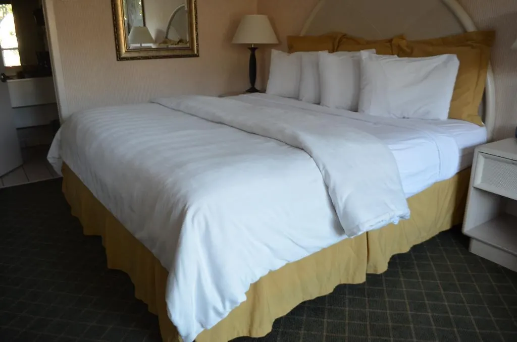 Chapel Hill University Inn-1