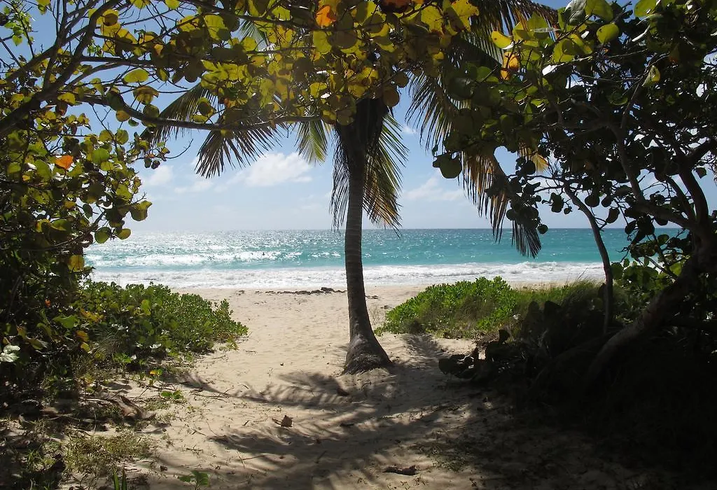 Esperanza Inn Guesthouse (Adults Only)-1