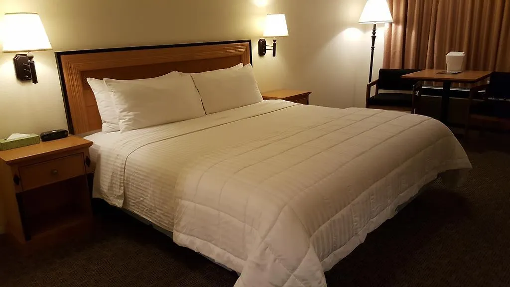 Japan House Suites-1