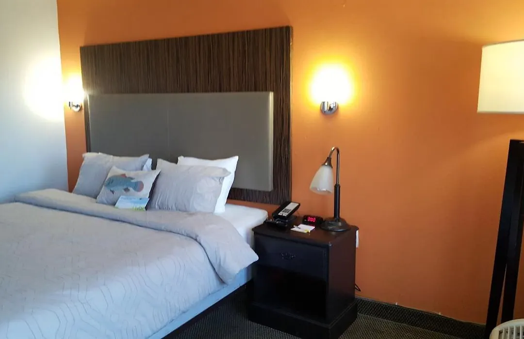Days Inn By Wyndham Benton-1