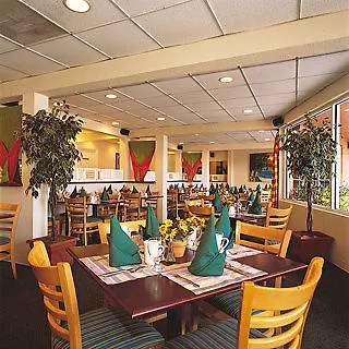 Nassau Palm-1