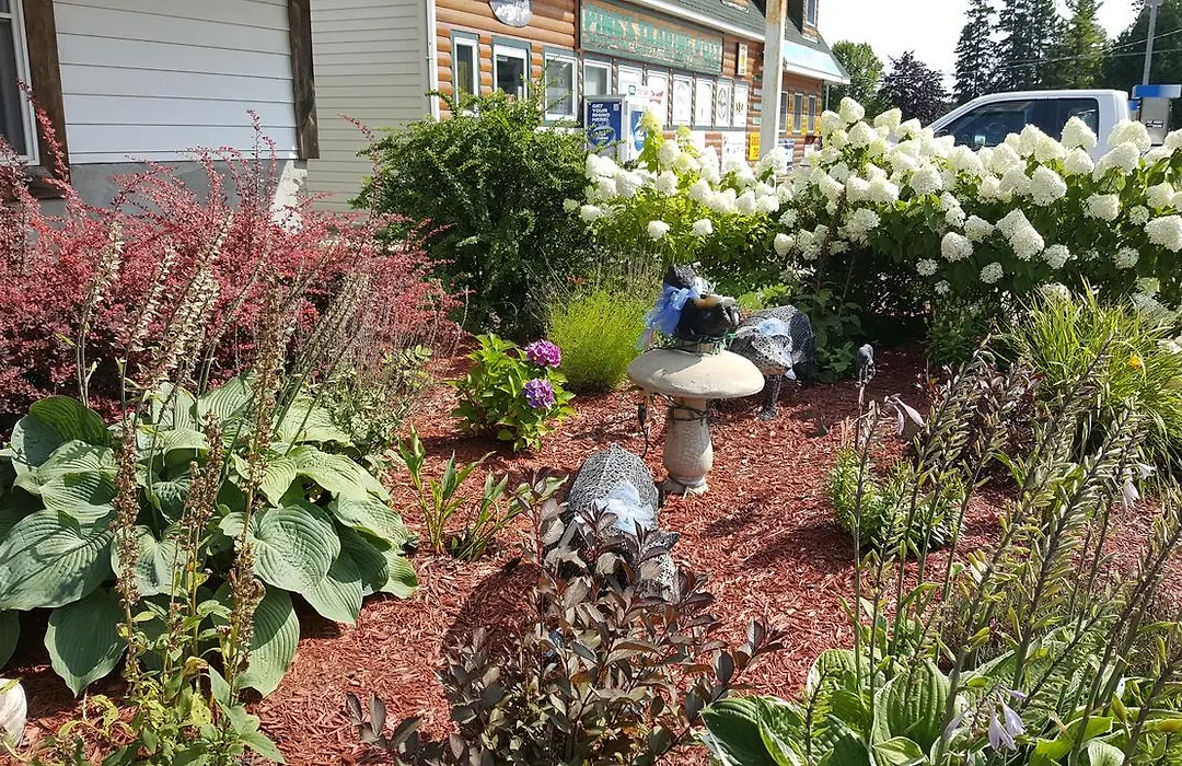 Bear Cove Inn-1