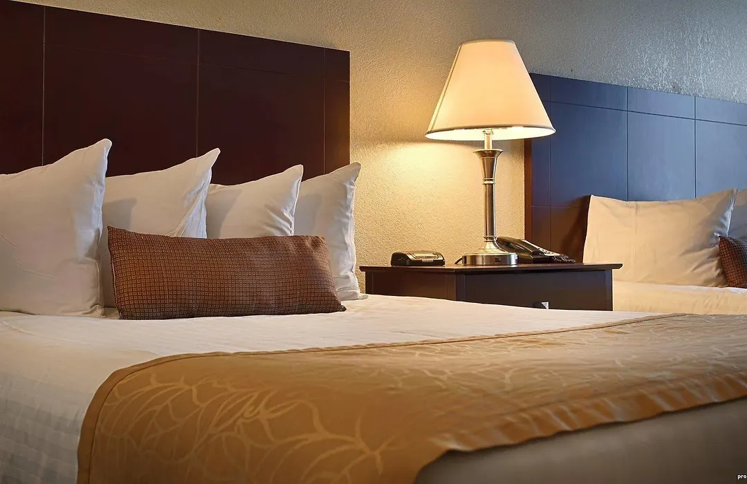 Best Western Sovereign Hotel - Albany-1