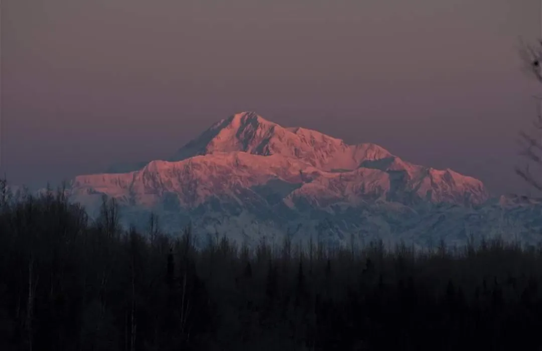 Talkeetna Fireweed Cabins-1