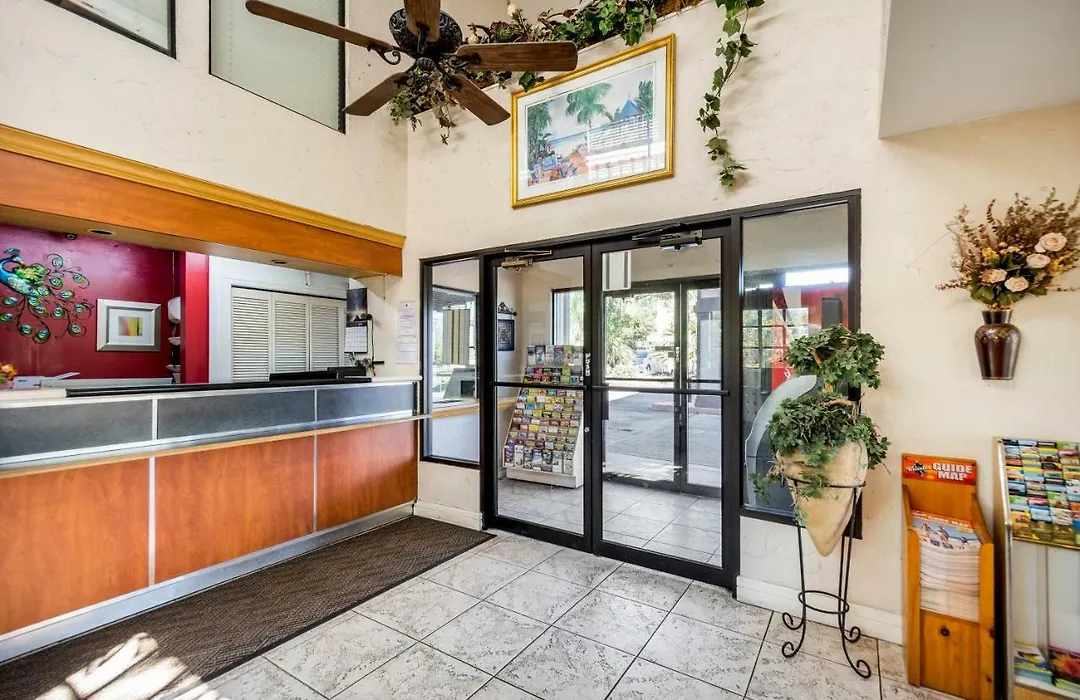 Econo Lodge Palm Harbor - Clearwater-1