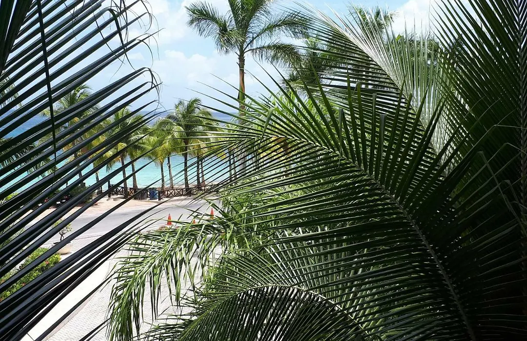 The Landmark Resort Of Cozumel-1