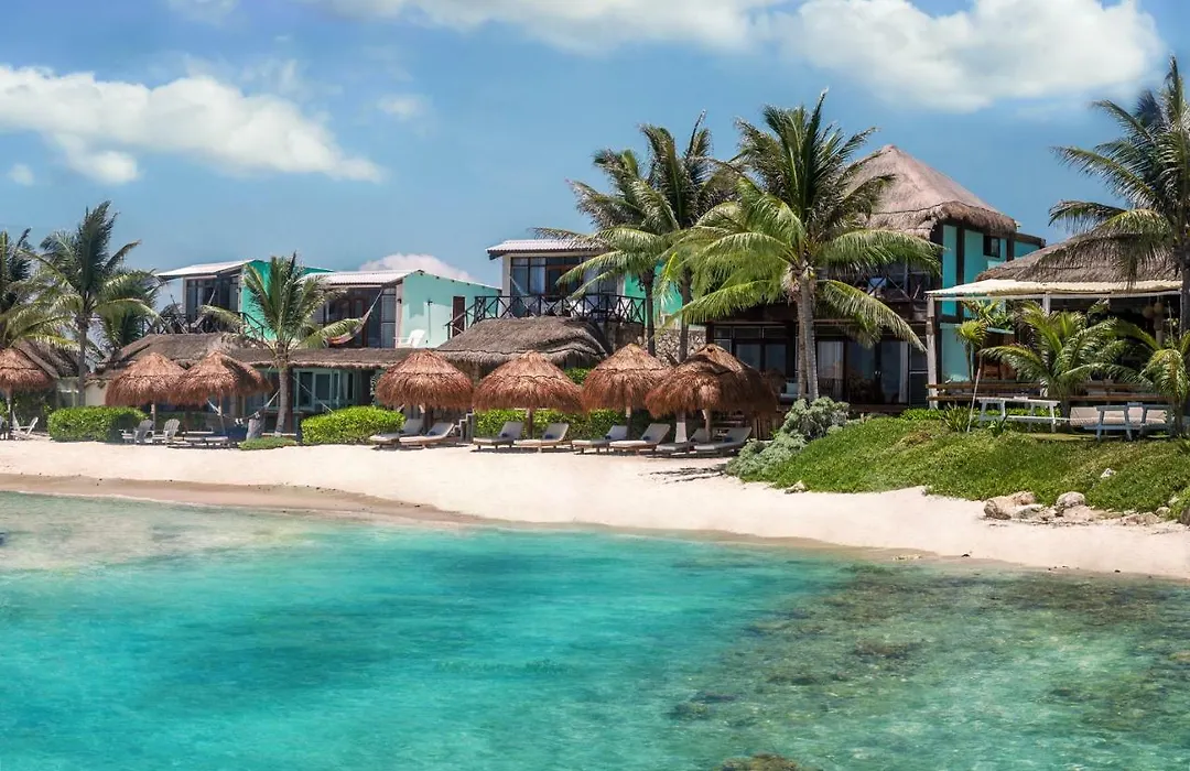 El Pez A Colibri Boutique Hotel-1