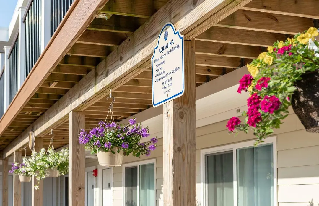 Aqualina Inn Montauk (Adults Only)-1