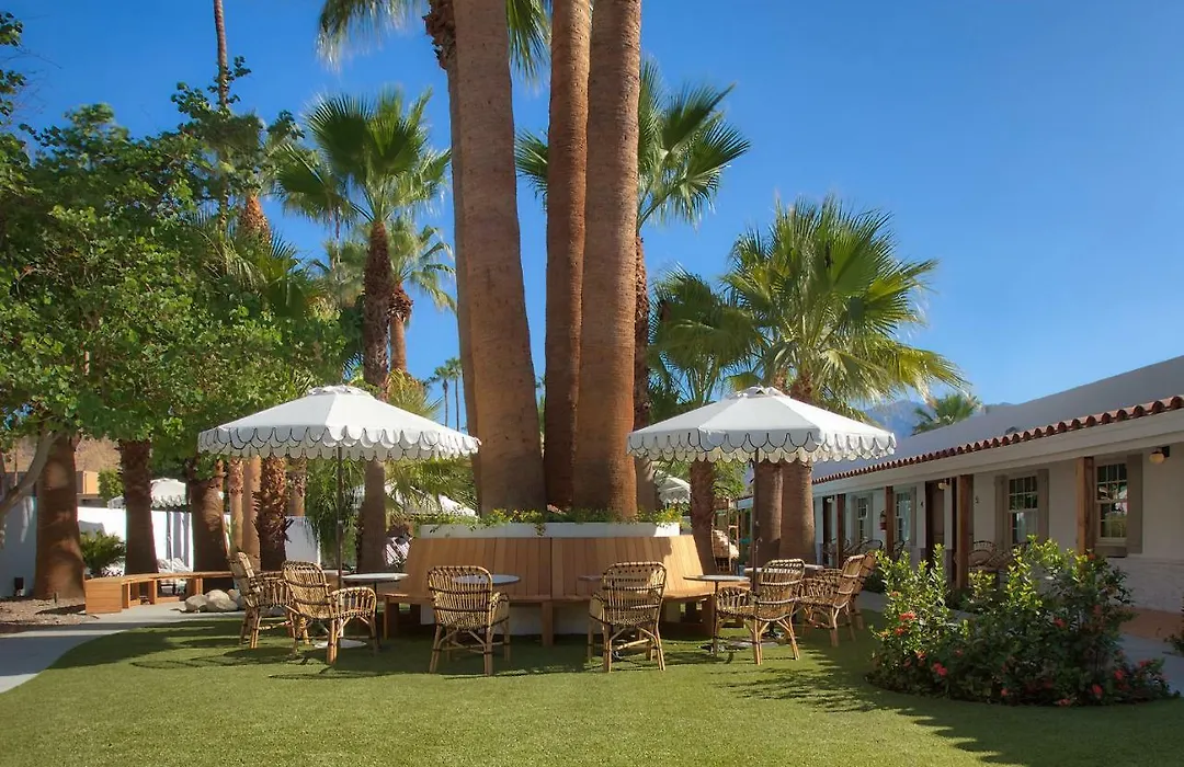 Dive Palm Springs Hotel - 21 & Over-1