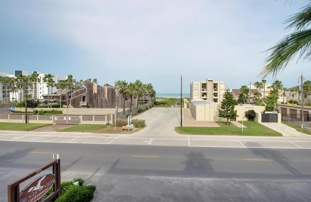 Beachview Condominiums: Palm Tree Pathway-1