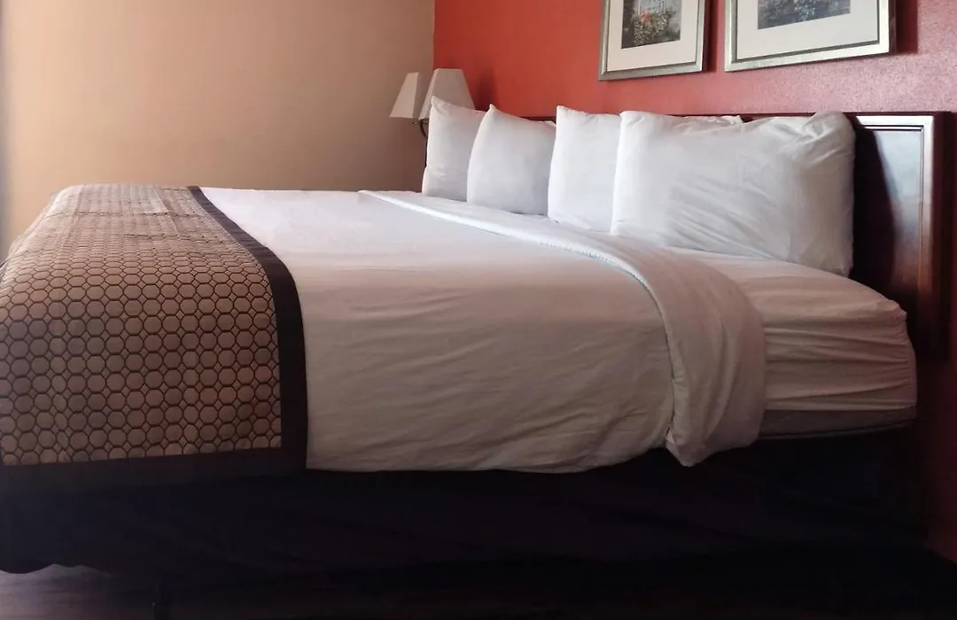 Extended Studio Hotel-1