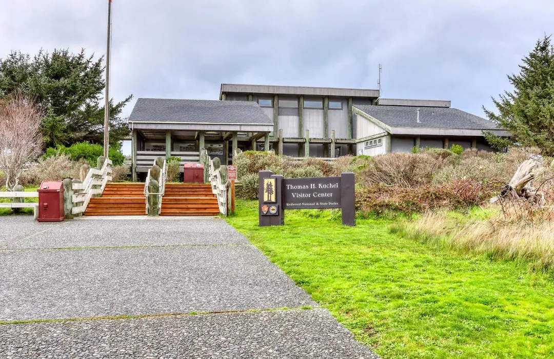 Berry Glen Redwood Park Loft-1