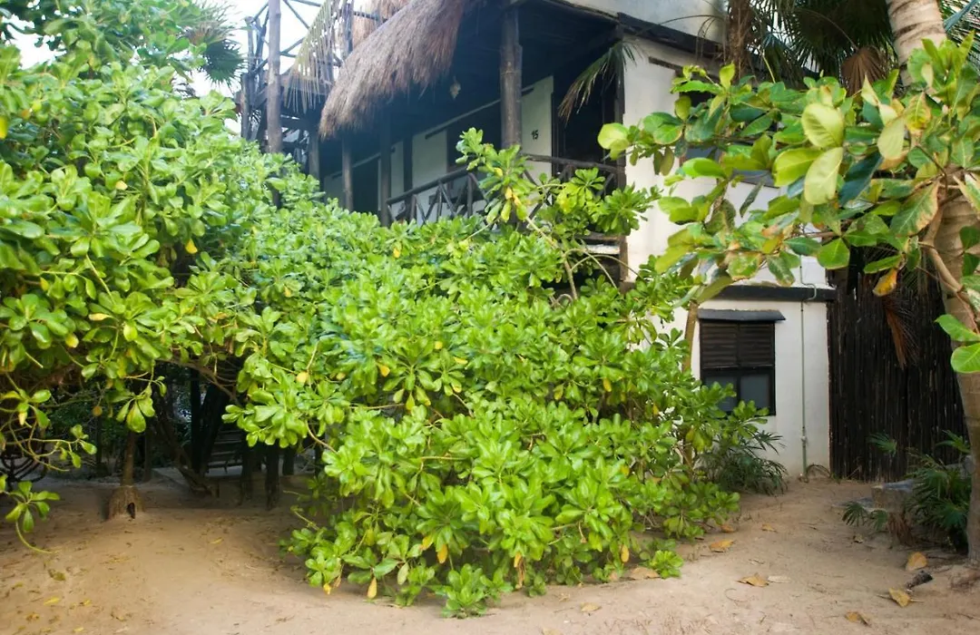 Hotel Zulum-1