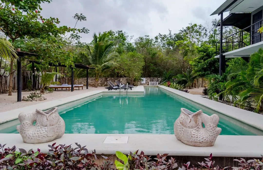 Barronegro (Adults Only)-1