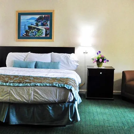 Azalea Inn & Suites-3