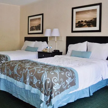 Azalea Inn & Suites-2