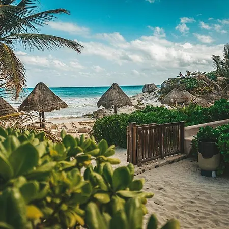 La Conchita Tulum (Adults Only)-3