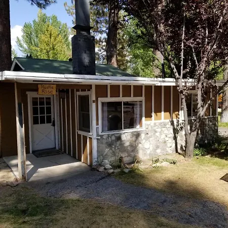 Grey Squirrel Resort-2