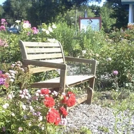 Lucy'S Place-2
