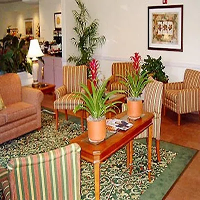 Fairfield Inn And Suites By Marriott Tampa North-2