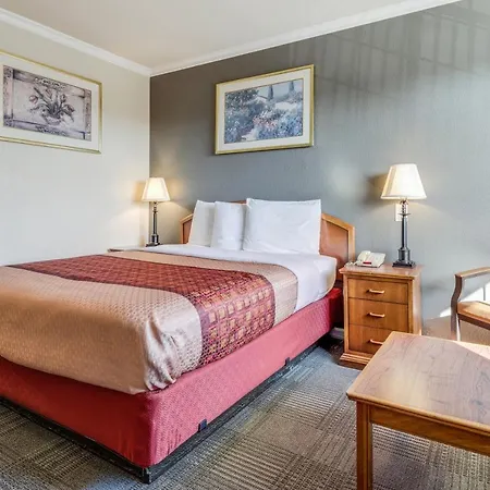 Americas Best Value Inn - Petaluma-3