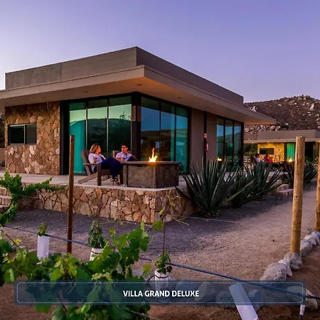 Entre Vinedos By Hotel Boutique Valle De Guadalupe-3