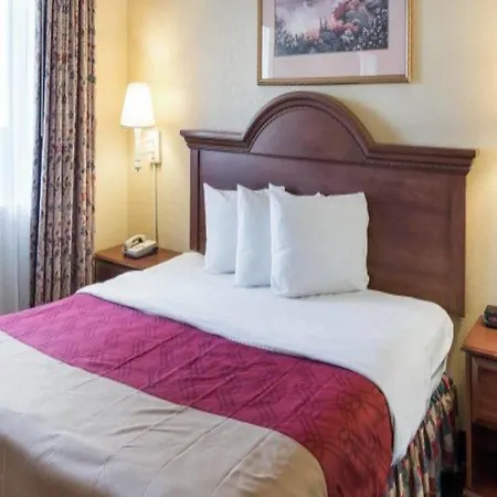 Econo Lodge Inn And Suites Arlington-3