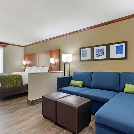 Comfort Suites West Monroe Near Ike Hamilton Expo Center-3