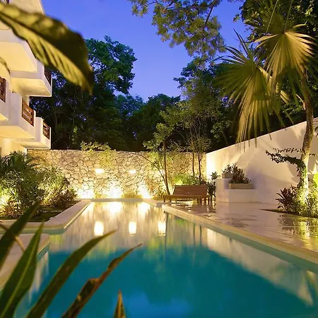 Livetulum-3