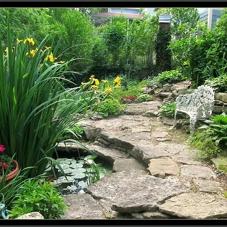 11 Singleton House B&B-2