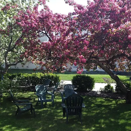 Lakeshore Inn & Suites-3
