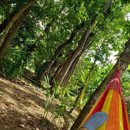 Clarissa Falls Resort-2