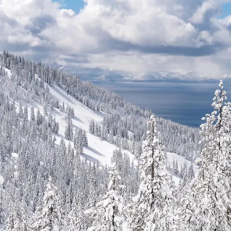 North Tahoe Nest-3
