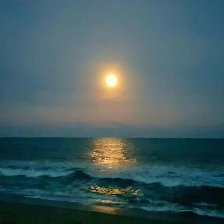 Ocean Point 302-3